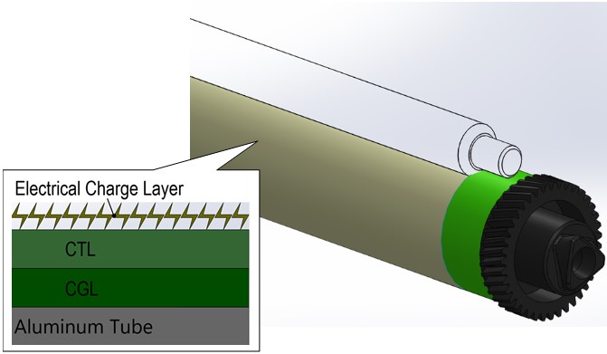 The OPC Surface Receives a Uniform Negative Charge from the PCR. The OPC Surface Receives a Uniform Negative Charge from the PCR.